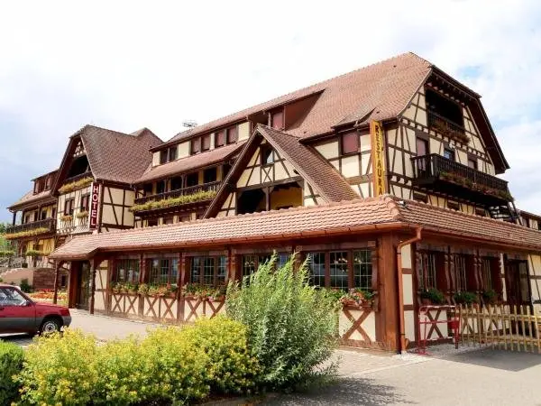 Hotel Au Parc des Cigognes - Hotel Urlaub & Wochenende in Kintzheim
