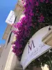 Hotel Chalet De L'isere - Отель для отдыха и выходных — Cannes
