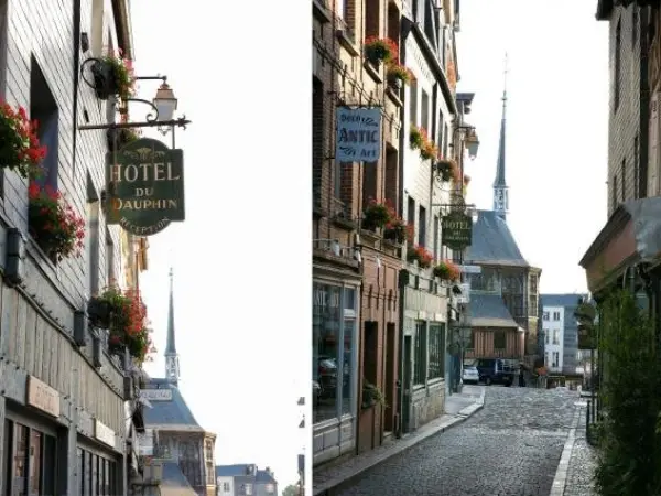 Hotel Le Dauphin - Hotel vacanze e weekend a Honfleur