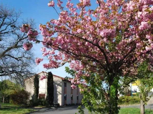 Hôtel Restaurant du Lac - Holiday & weekend hotel in Graulhet