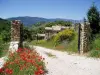 La Maison de Marguerite - Hotel vacanze e weekend a Montbrun-les-Bains