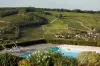 Le Panoramic - Hotel vacanze e weekend a Sancerre