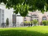 Qualisterra - Chambres d'Hôtes, Vignoble Bio-inspirant et Bien-être Corps et Esprit - Hotel Urlaub & Wochenende in Bar-sur-Aube