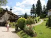 Tidy chalet with dishwasher, in the High Vosges - Hôtel vacances & week-end au Ménil