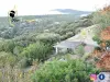 Villa Ficaja Vue Panoramique sur Pinarello - avec JACUZZI - à 2min de la plage - Hotel Urlaub & Wochenende in Zonza