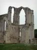 Аббатство Майллезайс - Остатки аббатства Святого Петра: руины церкви аббатства