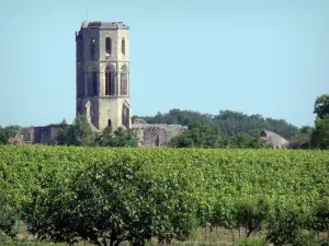 Аббатство La Sauve-Majeure - Башня башни аббатства с видом на зеленый пейзаж
