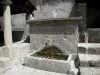 Аннотация - Старый город: фонтан