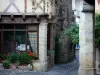 Биллом - Мощеная улица, цветы и дома средневекового города (средневековый квартал)