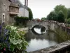 Бонневаль - Цветущий мост, охватывающий ров в воде, дома деревни на берегу реки Луар, цветы, деревья; в соусе