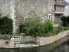 Бонневаль - Дом и его цветник (куст роз, цветы) на краю воды (река Луар); в соусе