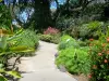 Ботанический сад Deshaies - Аллея цветочного парка
