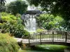 Ботанический сад Deshaies - Каскад, тропическая растительность и небольшой деревянный мост через бассейн