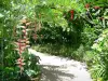 Ботанический сад Deshaies - Аллея с тропической растительностью