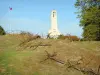 БЮТ-де-Вокуа - Памятник Вокуа