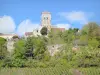 Везеле - Башня Сен-Мишель базилики Везле с видом на деревья и виноградники