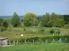 Вернье Суомп - Пейзаж лугов и деревьев; в Региональном природном парке Петель Нормандской Сены