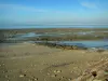 Виллервиль - Кот-Флер: пляж и скалы во время отлива, с видом на устье Сены, Гавр и Кап-де-ла-Хев