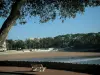 Вокс-сюр-Мер - Морской курорт: дерево и скамейка на переднем плане с видом на пляж Наузан