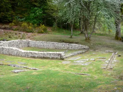 Галло-римские руины Авто