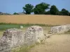Галло-римский город Jublains - Археологические раскопки: поле на краю храма