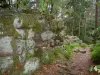 Гора Сент-Одиль - Языческая стена, тропинка и деревья леса