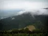 Гора Сент-Одиль - С монастырской террасы (монастыря) открывается вид на лес с облаками и на равнину Эльзаса на заднем плане