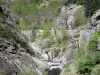 Долина Волана - Региональный природный парк Монт-д'Ардеш: река Волан, выложенная скалами и деревьями