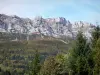 Долина Грезиводана - Деревья и лес долины с видом на скалы (скалы) массива Шартрез