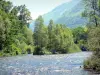 Долина Оссау - Дал д'Оссо, деревья вдоль воды и пиренейские горы; в Беарне