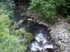 Долина Ренье - Долина Couze d'Ardes: река выстлана камнями и кустарниками в Региональном природном парке вулканов Овернь