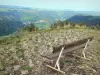 Долина Чаудефур - Со скалы Эгль, украшенной скамейкой, вид на долину; в Региональном природном парке вулканов Овернь, в массиве Санси (горы Доре)