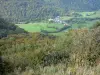 Долина Чаудефур - Кустарники на переднем плане с видом на долину (деревню, пастбища и деревья); в Региональном природном парке вулканов Овернь, в массиве Санси (горы Доре)