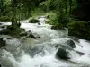 Ежик Водопады - Река (Ежик), камни и деревья