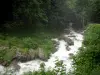 Ежик Водопады - Река (Ежик), камни, деревья и тропинка