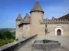 Замок Вирье - Средневековая крепость и фонтан в переднем плане на переднем плане