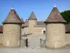 Замок Вирье - Входные башни, привокзальная и средневековая крепость