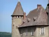 Замок Вирье - Башня и фасад средневековой крепости