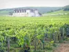 Замок Кло-де-Вужо - Замок, окруженный виноградниками, в самом сердце виноградника Кот-де-Нюи