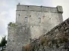 Замок Монтайгут - Средневековая крепость; в коммуне Гиссак, в Региональном природном парке Гранд-Каус