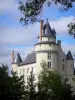 Замок Плесси-Бурре - Гид по туризму, отдыху и проведению выходных в департам Мэн и Луара