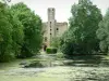 Замок Сагонны - Рвы с водяными лилиями, деревьями и крепостью