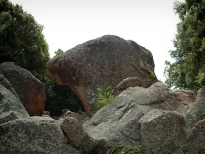Каланча-де-пьяна - Красная гранитная скала (ручьи): Голова собаки