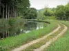 Канал Ourcq - Буксировочная полоса у кромки воды с дикими цветами, каналом и деревьями
