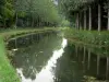Канал Ourcq - Канал обсажен деревьями
