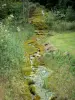 Каскад Этуфов - Окаменевший водопад, покрытый растительностью; в городе Рувр-сюр-Об