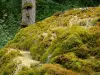 Каскад Этуфов - Мхи с места окаменевшего водопада; в городе Рувр-сюр-Об