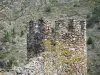 Кастельну - Старая зубчатая башня