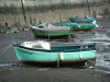 Конкарне - Лодки и маленькие красочные лодки, отлива