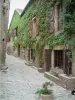Корд-сюр-Ciel - Мощеные аллеи и каменные дома, покрытые лианы Вирджинии